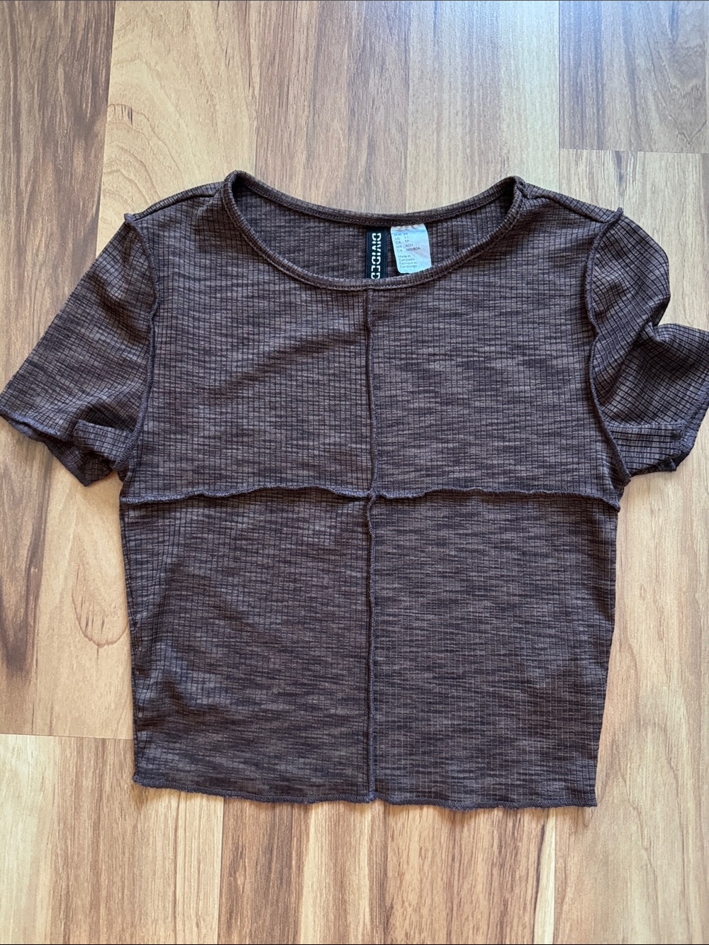 Divided Brown Short Sleeve Seam-Detail Crop Top